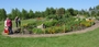 2008-08-05-9 (750x360, 109kb)