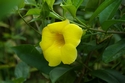 IMGP8773 (790x525, 113kb)