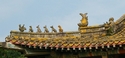 IMGP8855 (800x369, 133kb)