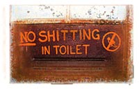 No Shitting in the Toilet